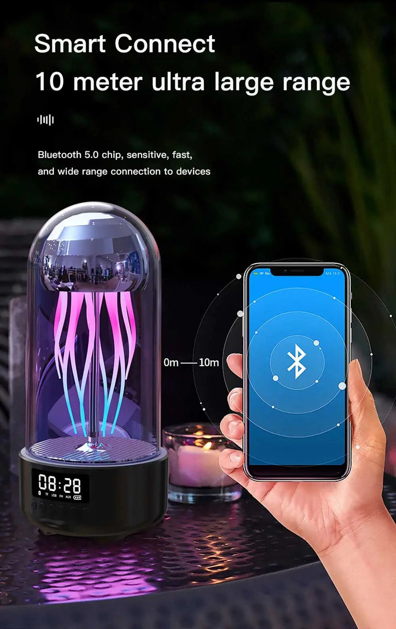 Enceintes Bluetooth portables 