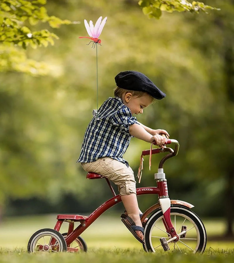 Summer Hot Sale 49% OFF🔥Dragonfly Clip Bug Repe Lient (3PCS) 2026