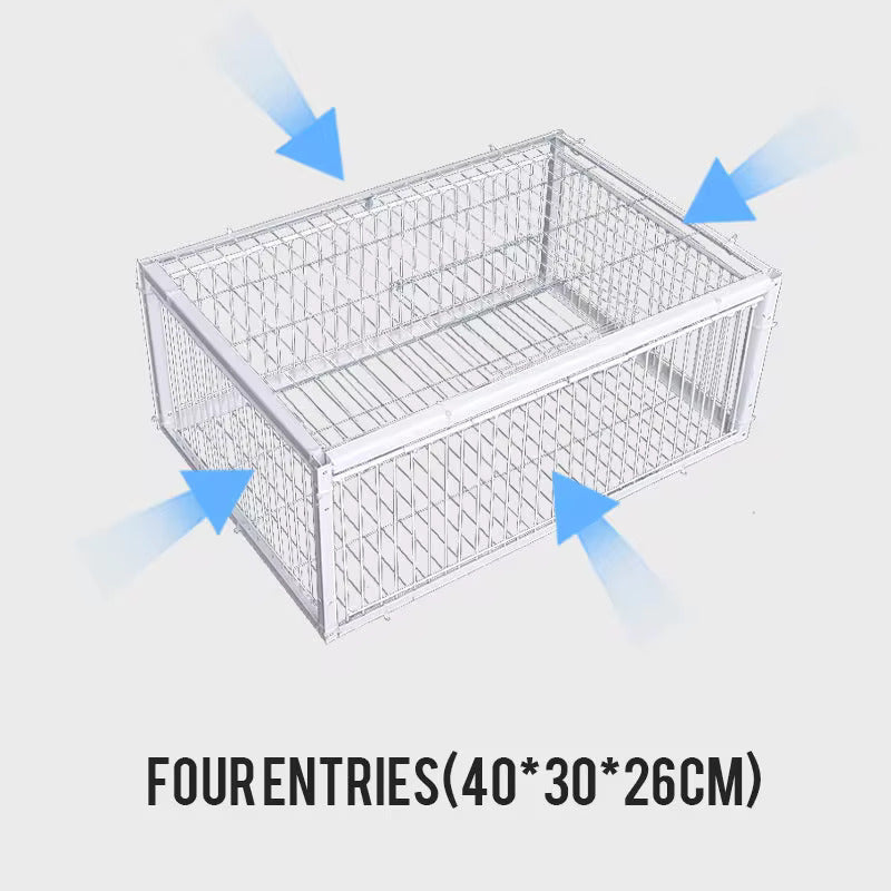 Cage à oiseaux SafeCatch
