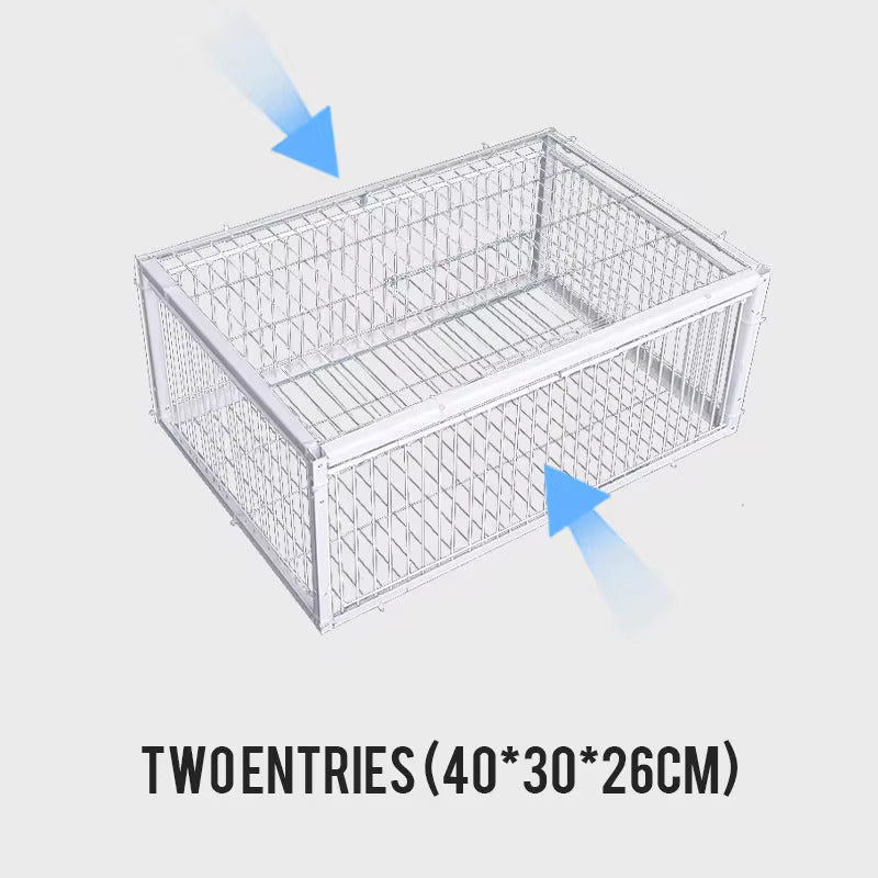Cage à oiseaux SafeCatch