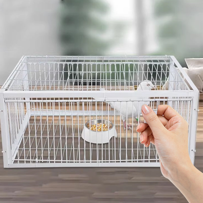 Cage à oiseaux SafeCatch